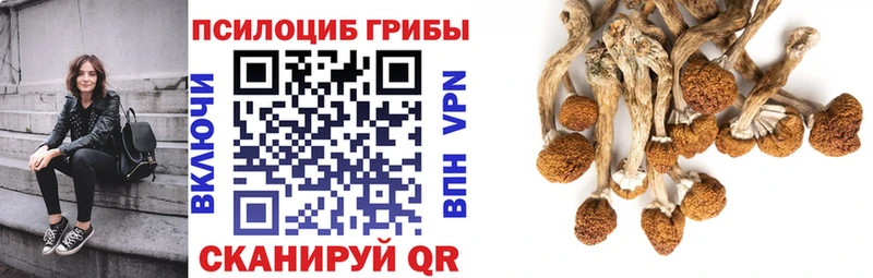 Псилоцибиновые грибы ЛСД  купить наркотик  Кореновск 